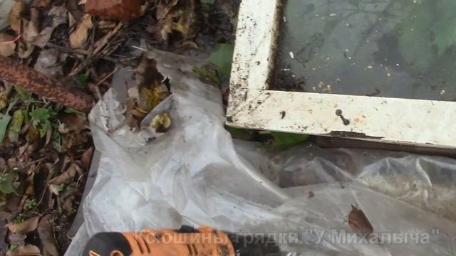 Осень Осенние работы на даче. Для вызревания лозы (часть 2) смотреть онлайн