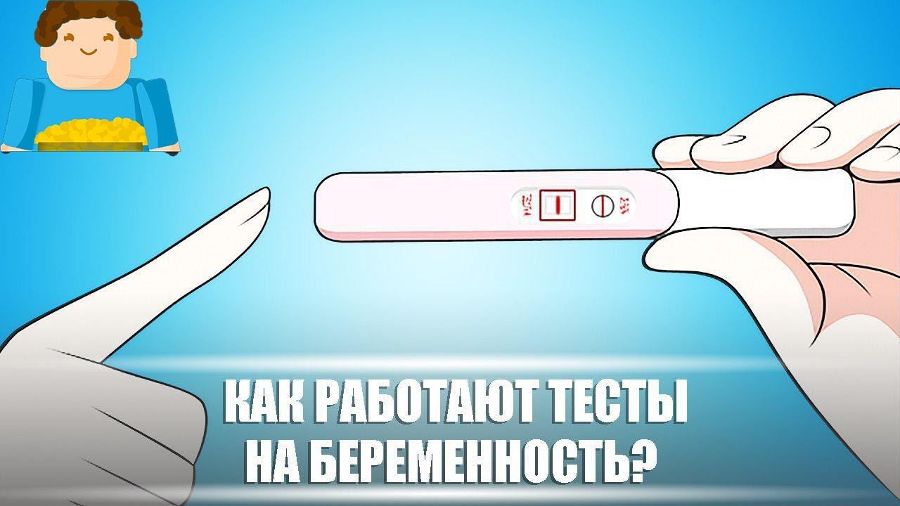 Тест на беременность 1 на ютубе. Как работает тест на беременность. Как работает тест на беременность видео. Реклама теста на беременность. Как используется тест на беременность.