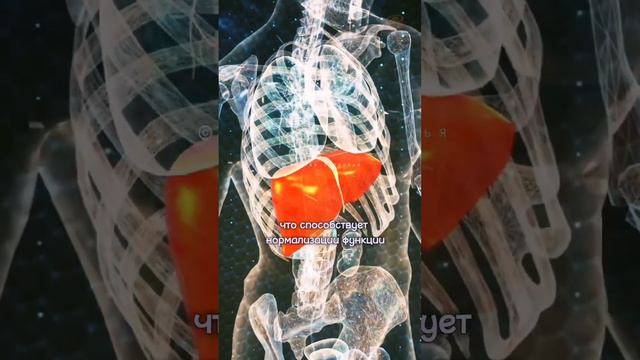 Польза и Вред Расторопши для организма