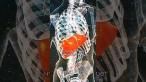 Польза и Вред Расторопши для организма