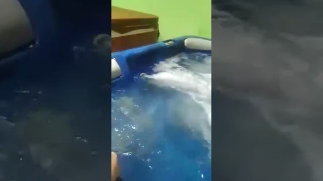 Cristal Waters Aruba Serenade спа бассейн Канада смотреть онлайн