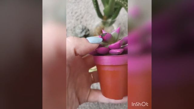 Мотивашка на уборку 😊 смузи 🍹 смотреть онлайн