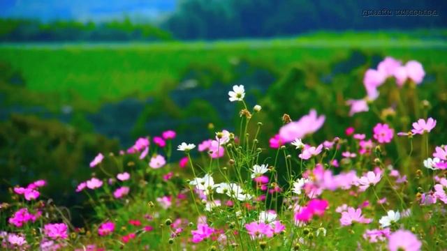природа 21
