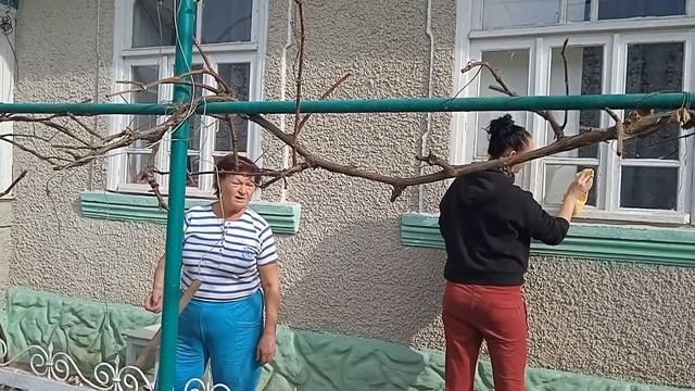 Уборка во дворе окончательно окончена. смотреть онлайн