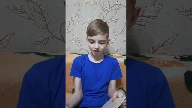 Васильченко Ярослав, 12 лет, рассказ "Челкаш"