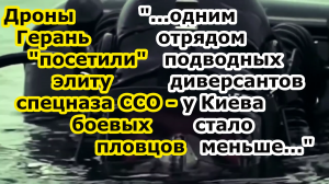 Рой Беспилотников Герань 2 и 3 стёрли в Одессе элитный отряд боевых пловцов спецназа ССО Украины