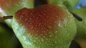 Детское пюре Gerber ® - идеально для первого прикорма.