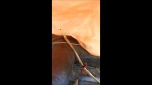 Обзор псн  10