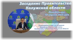 Заседание Правительства Калужской области (17.04.2023)
