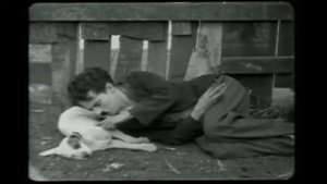 Charlie Chaplin   блоха