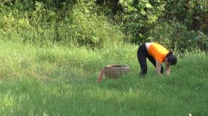 Vandals burned the houses - Life is not peaceful - Girl Living Off Grid