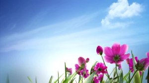 ФУТАЖ Фон с цветами