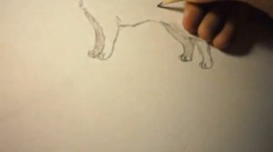 Как рисовать собаку