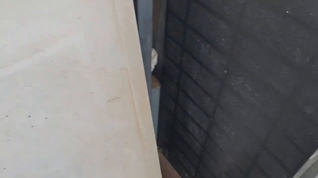 Как обустроены дворовые коты. Первое видео случайно удалила. смотреть онлайн