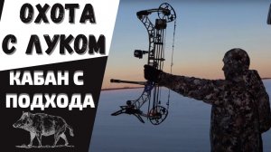 ОХОТА с ЛУКОМ на кабана с подхода