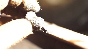 Как менять масло в редукторе ? Что делать если шумит мост ?