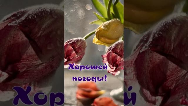 Доброе утро!  Доброго дня!?