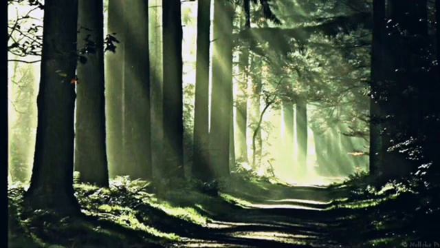 Спокойная Музыка для Сна и Снятия Стресса | Sleep Vacation смотреть онлайн