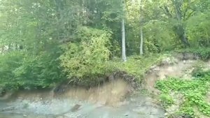 Природа Кубани.Пос.Нефтяная.Район Водолечебницы.