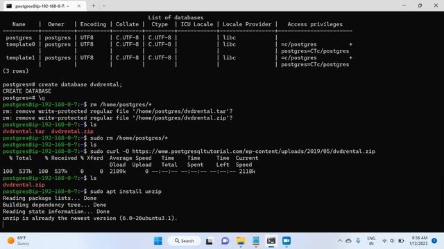 6. Postgres Administration - Restore database - dvdrental