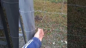 монтаж казачки(шарнирной сетки) без лебедки и машин, своими руками