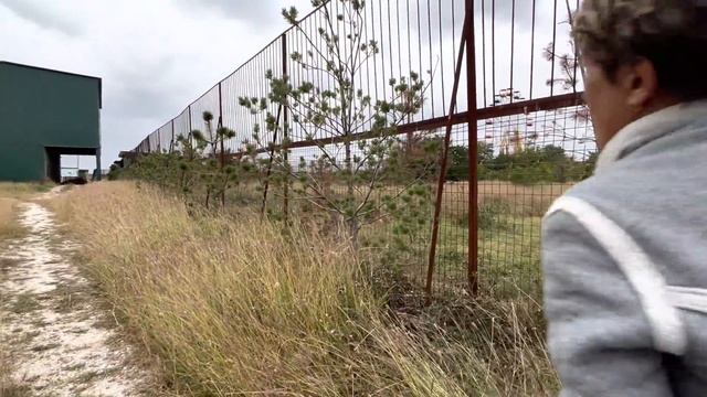 Молодой лев просто ЛЕГ НА МЯСО и никого не подпускает даже близко! смотреть онлайн