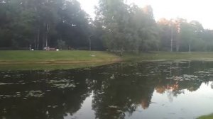 Серебряные пруды