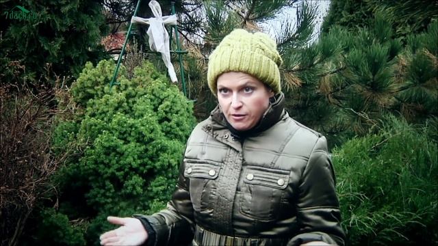 ПОДВАЛ. Хранение овощей и заготовок - 7 дач смотреть онлайн