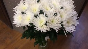 Букет из 25 хризантем (одноголовая)