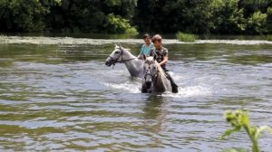 КСК "Донские Кони" г. Лебедянь. купание