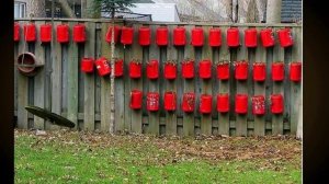 Как украсить забор -- несколько красивых идей