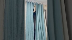 Забавные животные №27