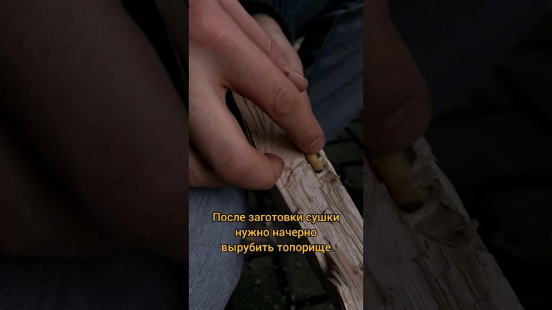 топорще самодельное или покупной, что лучше??? #survival #выживание #bushcraft #forest #бушкрафт