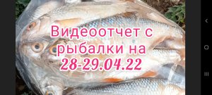 Видеоотчет с рыбалки 28-29.04.22 . Рыбалка на поплавок . Рыбалка 2022 .