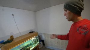 Первый запуск аквариума на 400 литров. Оформление своими руками
