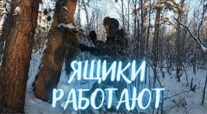 ОХОТА НА СОБОЛЯ. Серия № 4. Ящики работают / SABLE HUNTING. Series No. 4. Boxes are working