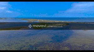 Каркинитский залив,Лебяжьи острова, село Портовое, Крым