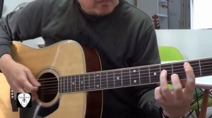 Morris MD510 Acoustic Guitar Demo Review with Martin MSP4100 Phosphor Bronze Strings