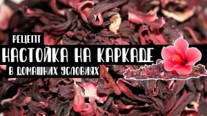 Настойка «Каркаде». Настойка на чае каркаде в домашних условиях. Как приготовить? Рецепт