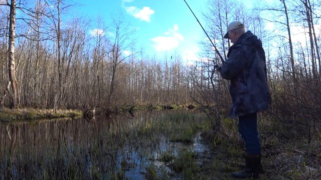 Ловля плотвы в ручье. Небольшая речка у озера Комсомольское. Fishing for roach in a stream.