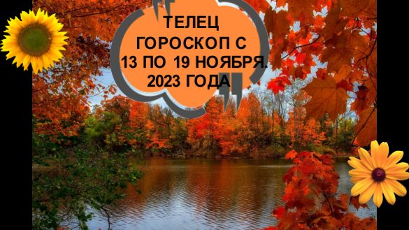 ТЕЛЕЦ ТАРО-ПРОГНОЗ НА НЕДЕЛЮ С 13 ПО 19 НОЯБРЯ 2023 ГОДА