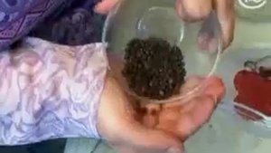 Черный перец при диарее