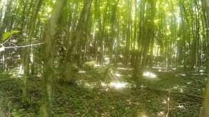 Водопады Геленджика, Водопад Прохаскин Маршрут#3. #2022  #SjDrozdov  #отдыхвгеленджике