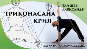 Триконасна Крия. Александр Таишев