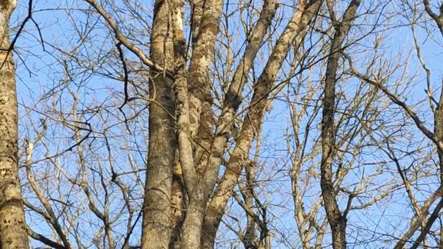 Татарское Городище / Травертиновый водопад /  Ставрополь