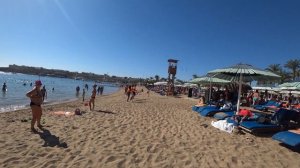 Ghazala Beach Hotel - Шарм-эль-Шейх |Номер |Пляж |Еда