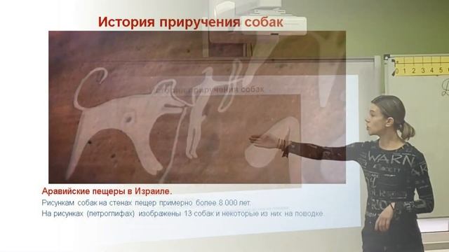 ДЕТЯМ про собак // Как общаются животные смотреть онлайн