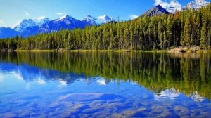 Разрушая власть болезни. Норвел Хейз (не слушайте чувства и симптомы, ходите верой)