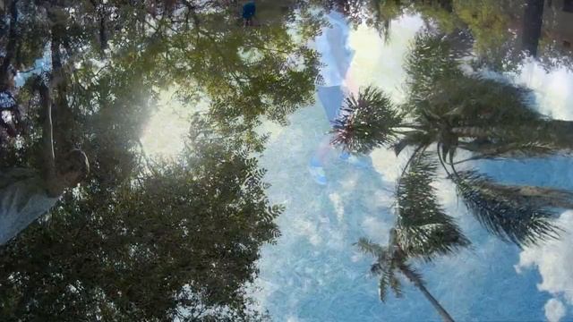 KIDS NA TV - Golpe de Capoeira - Estrelinha com uma mão! смотреть онлайн