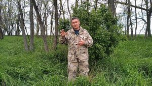 Почти охота с Сайга-МК-03 - стреляем кабанчика по заказу зрителей пулей-НР  7.62х39